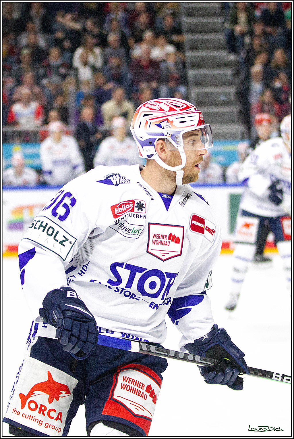 PENNY DEL;  Koelner Haie - Schwenninger Wild Wings; Koeln, 08.10.2021